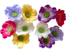 10 bunte ANEMONENBLÜTEN 8cm