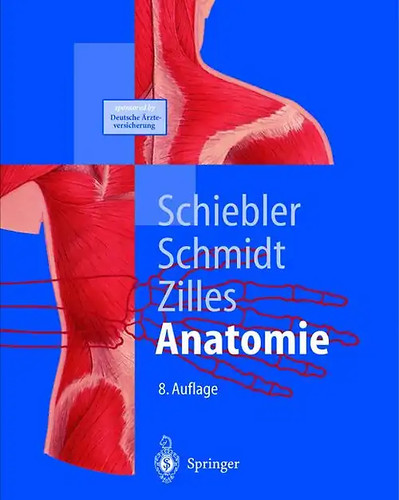 Anatomie