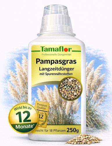 Pampasgrasdünger gräser - pampasgrasdünger,