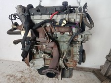 FIAT DUCATO BUS Kasten (244)
