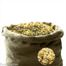 Oman reiner Weihrauch Boswellia sacra Dhofar ( Sultanat Oman )  Kirchenqualität