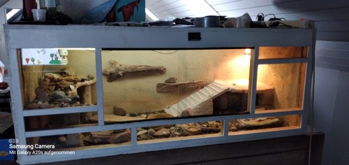 Terarium