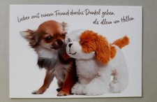 Heye Athesia Verlag AK mit Spruch Hund Chihuahua Stofftier 
