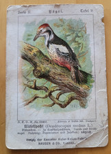 Sammelkarte Kasseler Hafer