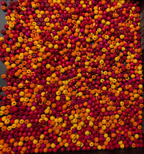 HOLZPERLEN AHORN 1500 Stück