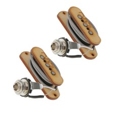 2x Humbucker Pick up Aufnahme
