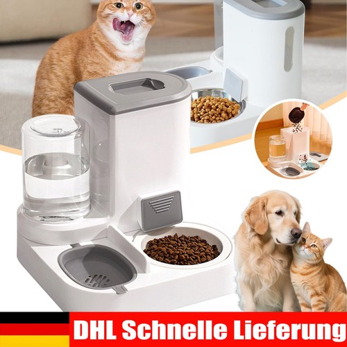 Katzen wasser und - katzen,