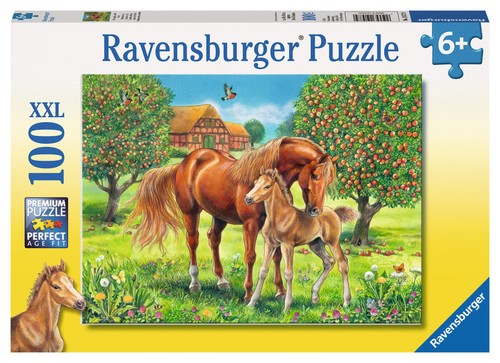 100 teile ravensburger kinder - teile,