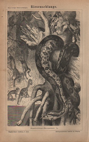 Lithografie 1878