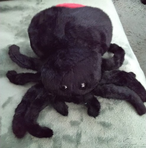Stofftier schwarze spinne - spinne, ca