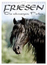 Friesen - die schwarzen Perlen