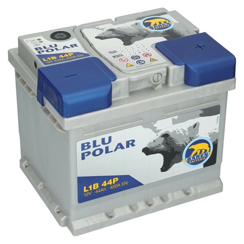 Bären blu polar - bären, autobatterie