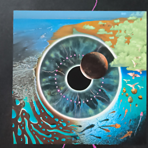 pink floyd box