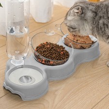 Haustier Futternapf Katzennapf