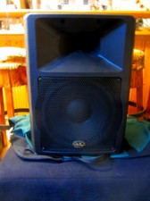 Prihmus - Monitor Box 250 Watt passiv mit In und Out