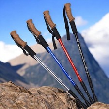 Nordic Walking Paar Alu