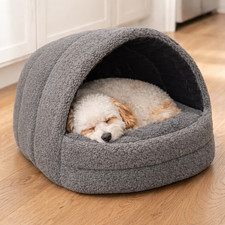 Hundehütte Hundehaus