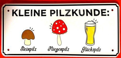 Blechschild 28x12 kleine - blechschild,