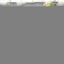Badteppich 3 Tlg Set Badematte