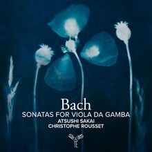 viola gamba