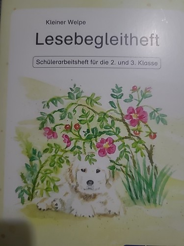 Lesebegleitheft kleiner - -,