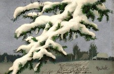 Neujahr, Tannenzweig mit Schnee, sign. Mailick, 1903 in Berlin versandt