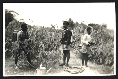 Fotografie afrika - fotografie,