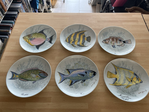 Sammelteller kaiser the fish - 6,
