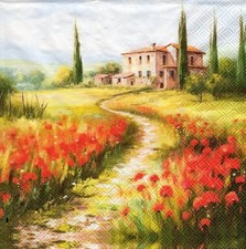 3 Lunch Servietten ~