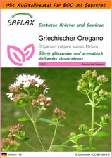 SAFLAX Garden in the Bag - Griechischer Oregano - Origanum - 600 Samen