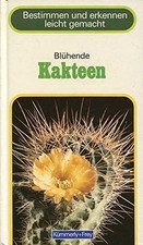 Blühende Kakteen von Rayzer