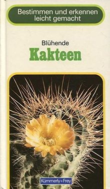 Blühende kakteen von - blühende, rayzer