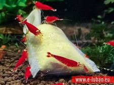 Garnelenfutter Futtersäckchen
