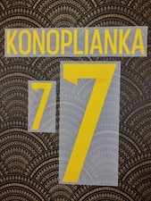 Ukraine Ukraina Konoplyanka 7 2014 Flex Flock Beflockung für Trikot  W0038