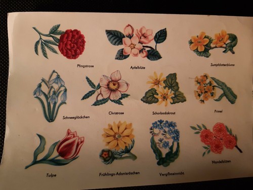 Bögen abziehbilder ddr - bögen,