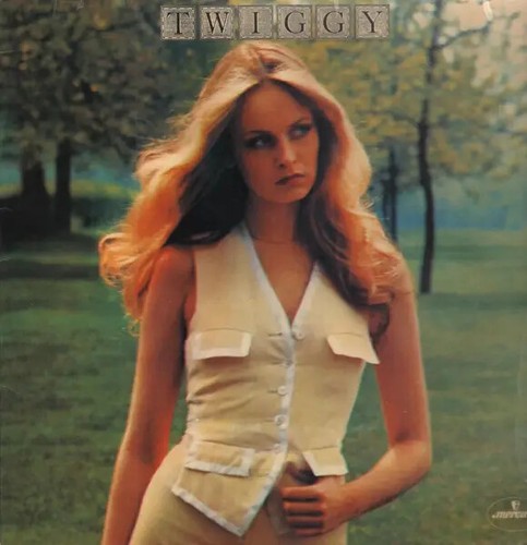 Twiggy near mint mercury vinyl - mint,