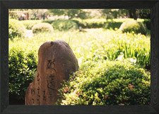 Kyoto Tempelgarten Gerahmtes