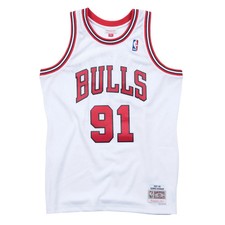 Dennis Rodman #91 Chicago