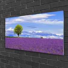 Acrylglasbilder 100x50