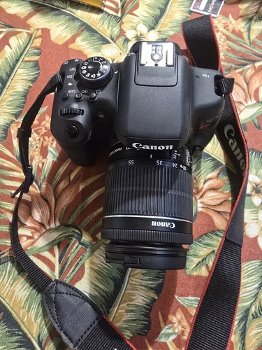 Canon eos 750d - eos, t6i