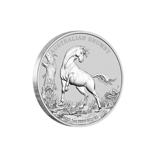 Australien brumby 2022 1 - australien,