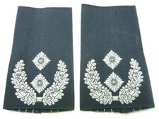 Rangabzeichen Luftwaffe