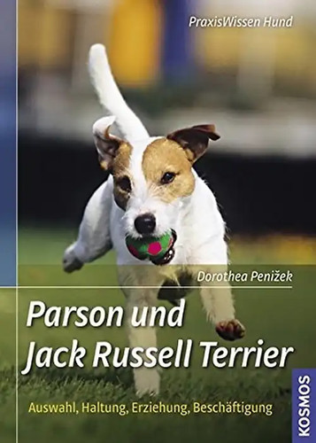 Parson und jack russell - und,
