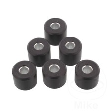 Original Roller Weight Kit