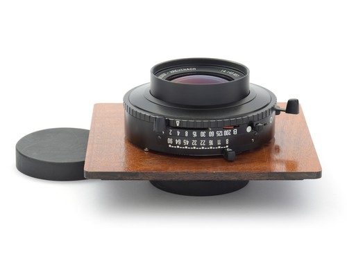 Schneider dagor gold dot - gold,