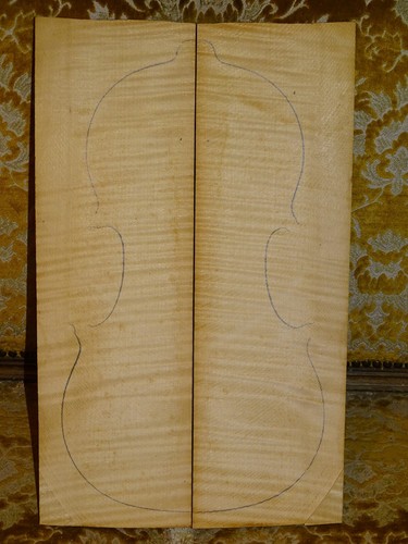Tonholz tonewood aus - tonholz,, tonewood,