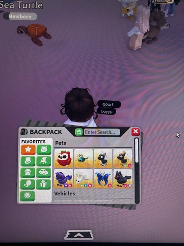 Adopt pet set - pet,
