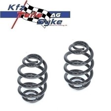 2x FAHRWERKSFEDER FEDER HINTEN