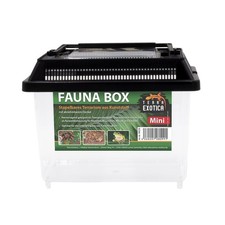 Fauna box mini 18x11x14cm - box,