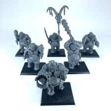 Ogor Bulls Oger Kingdoms -